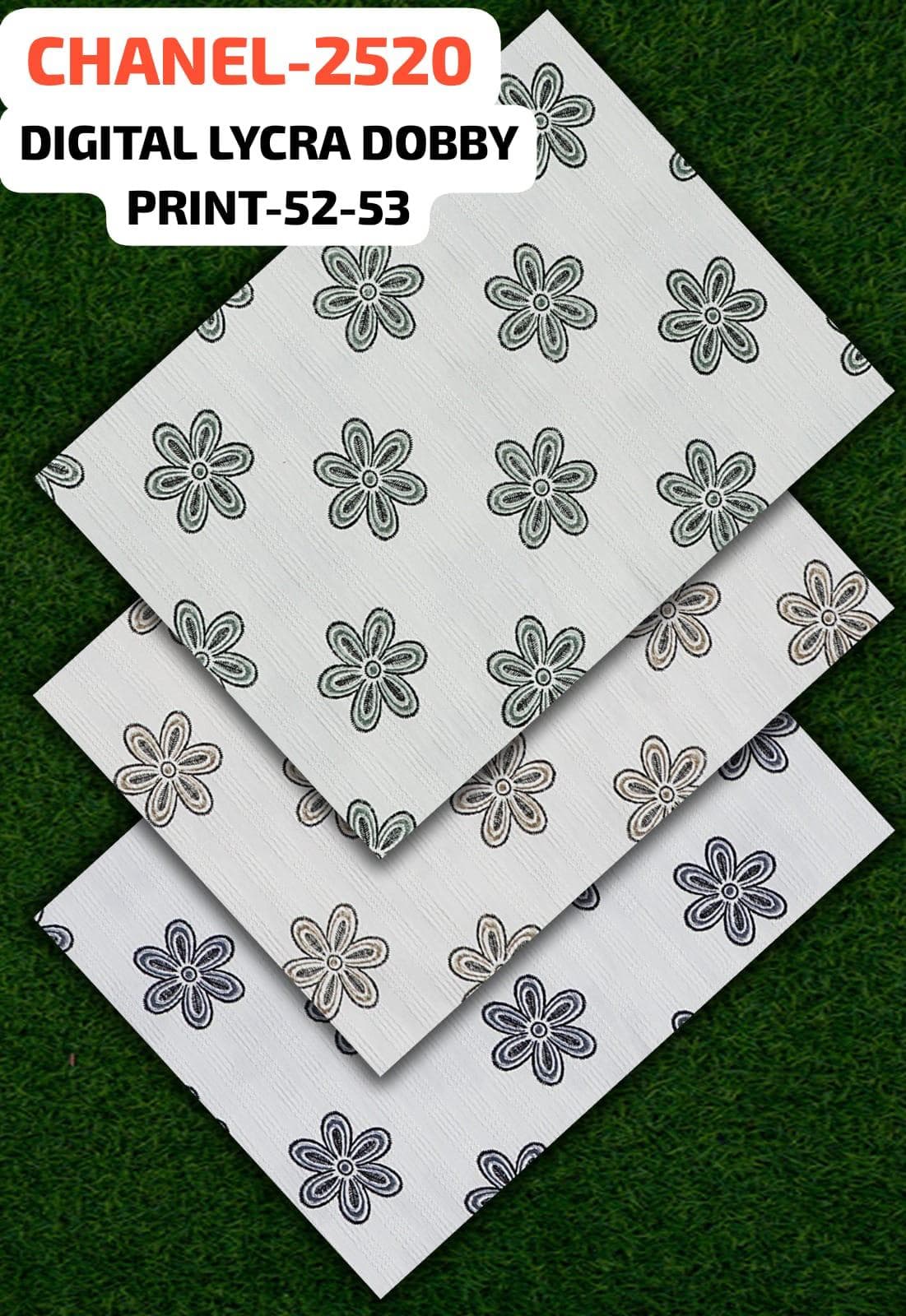 CHANEL-2520